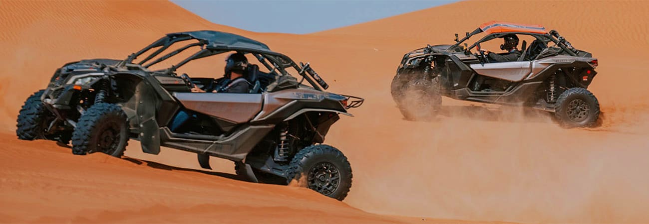 Desert Buggy Driving Experience banner