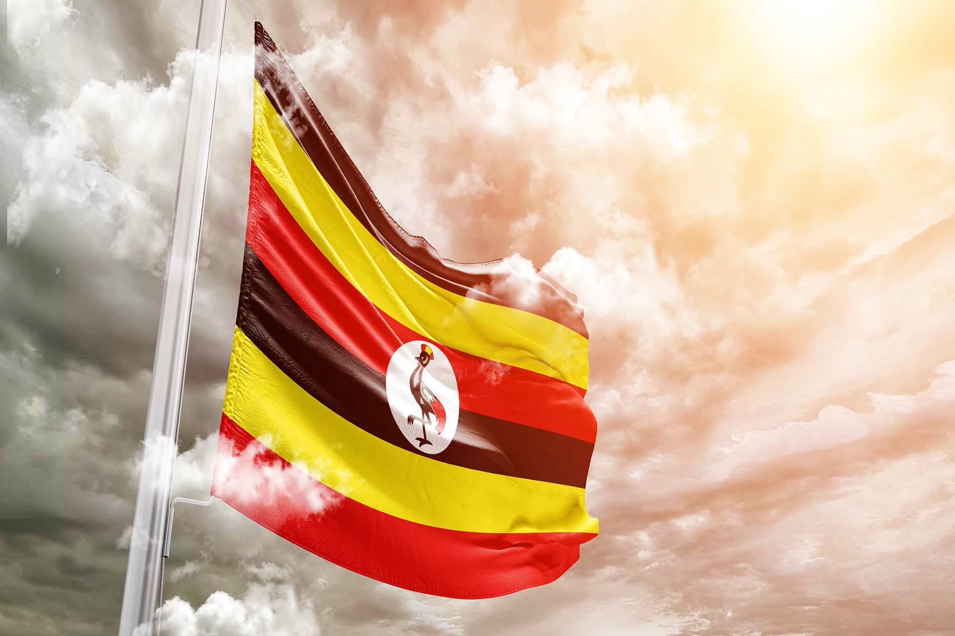 Uganda Visa flag