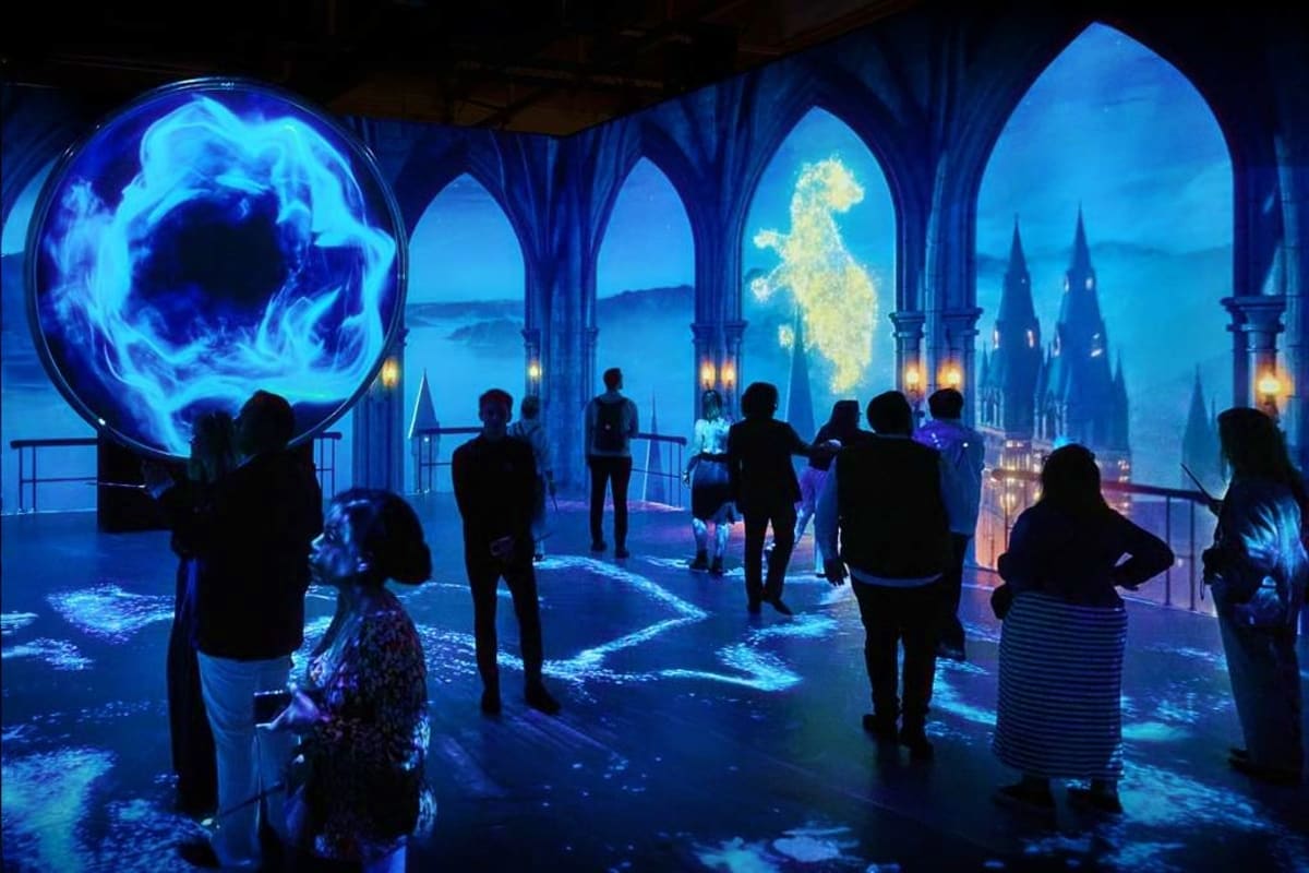 Harry Potter Experience