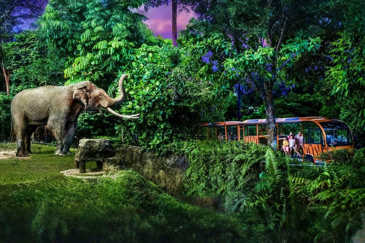 Night Safari Singapore