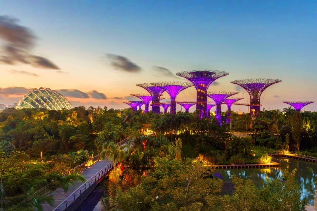 Gardens to Galaxies A Family Voyage in Singapore Gardens by the bay