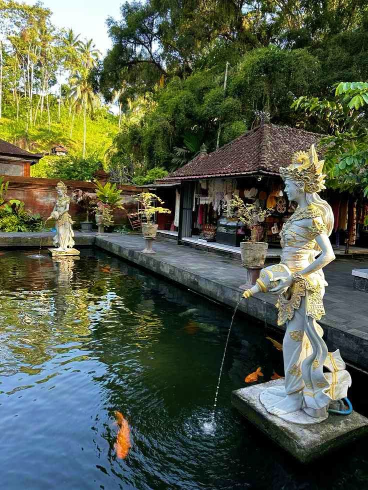 Tropical Exploration and Scenic Views 