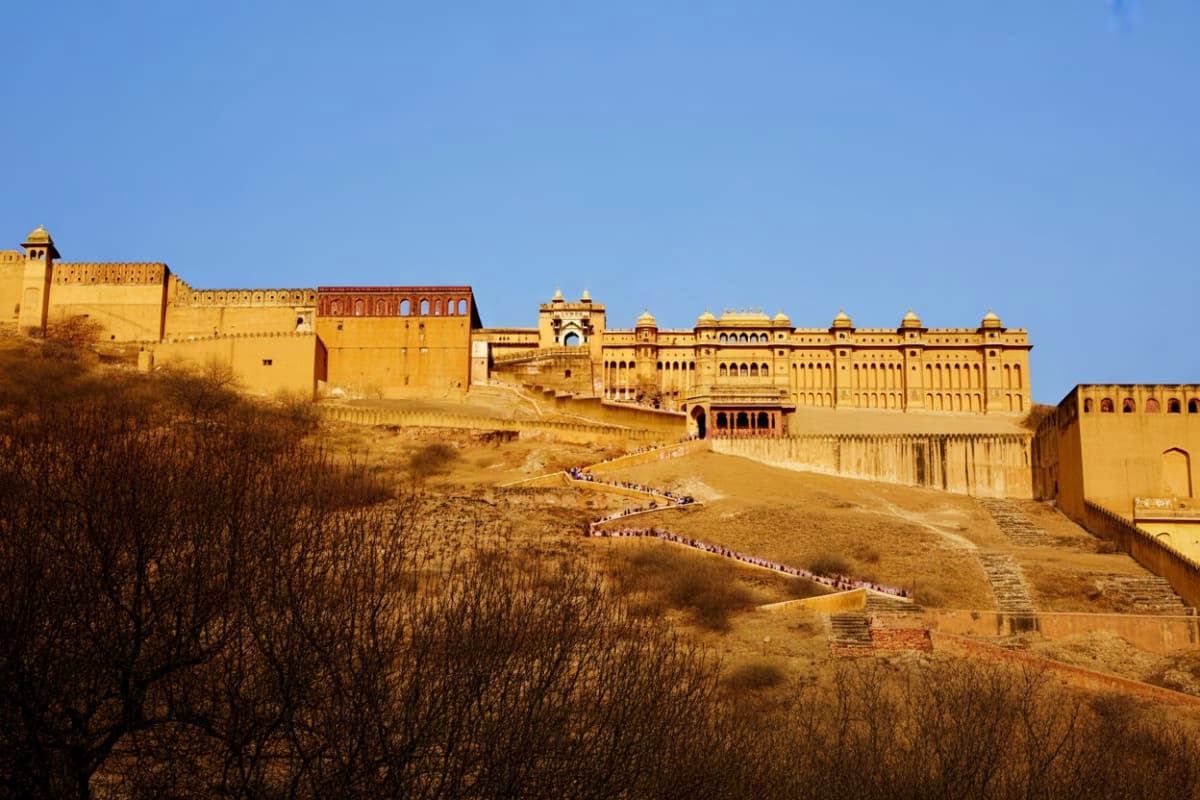 The Regal Trails : Pink City and Tiger Land Fort - Ranthambore