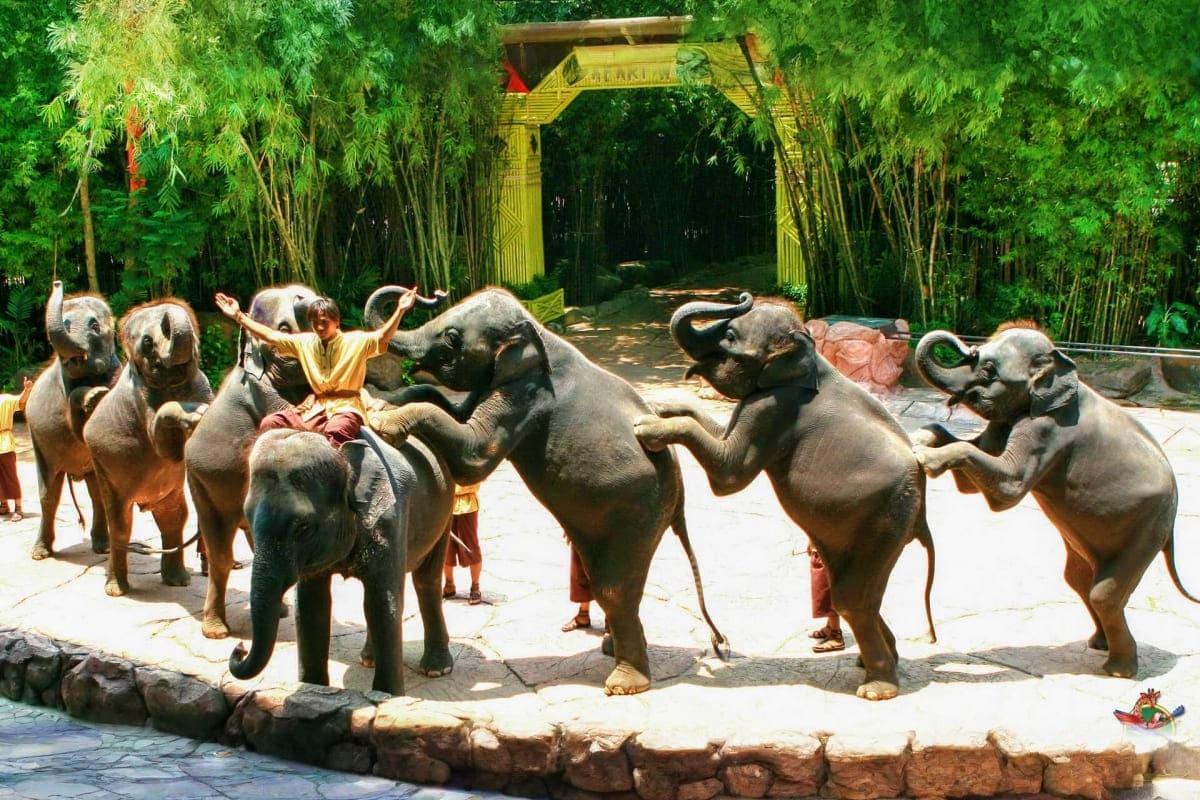 Thailand Trails for Family Safari World 4