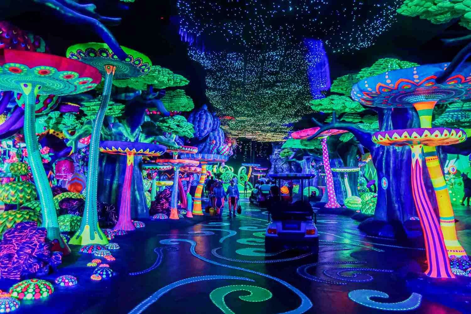 Arrival in Phuket | Carnival Magical Show