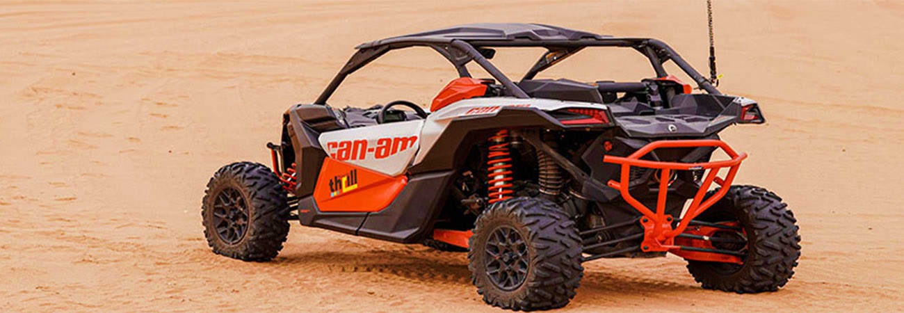 Desert Buggy Driving Experience buggybackground