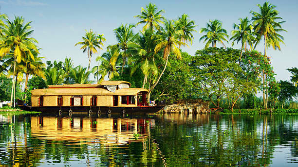 Drive to Alleppey; Check in to Houseboat, Enjoy Backwater Cruise & Sunset Drive to Alleppey; Check in to Houseboat, Enjoy Backwater Cruise & Sunset