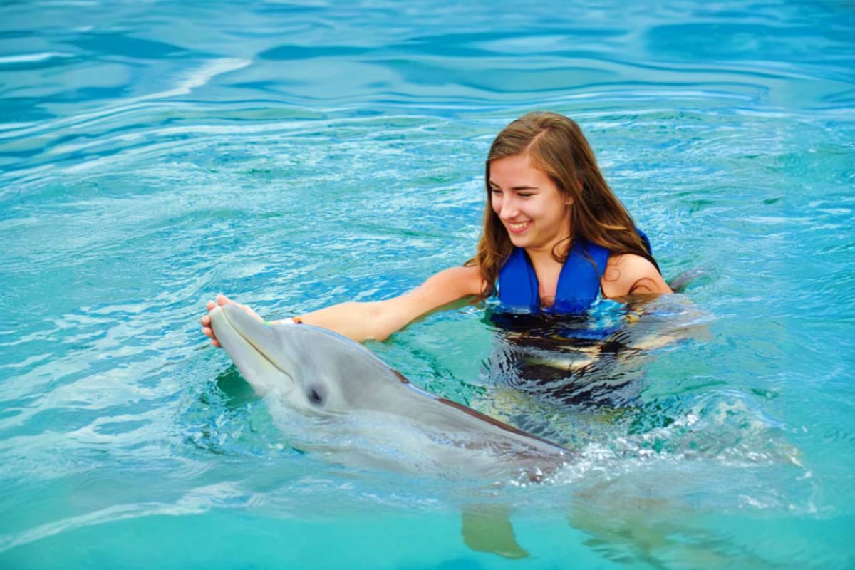 Dolphinarium In Pattaya