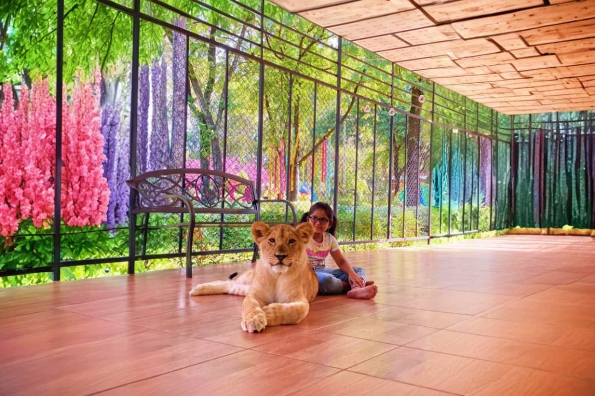 Sriracha Tiger Topio Zoo