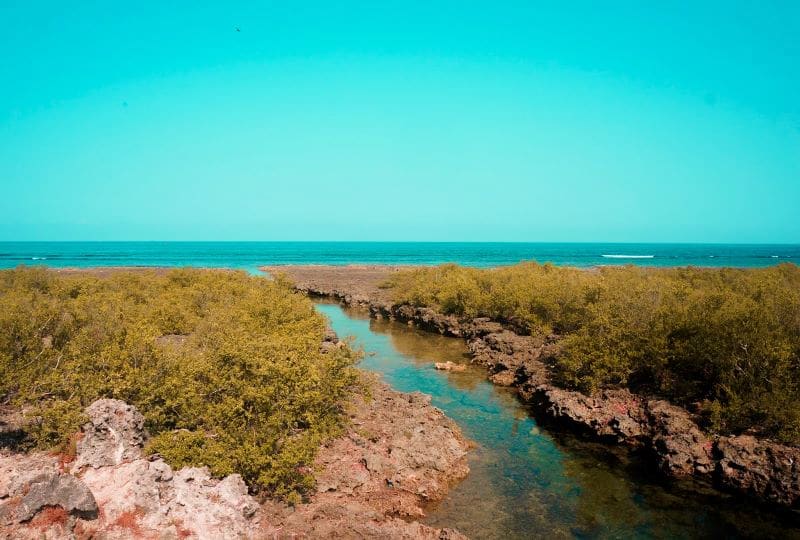 Sir Bani Yas Is U. Arab Emirates Sir Bani Yas Is U. Arab Emirates