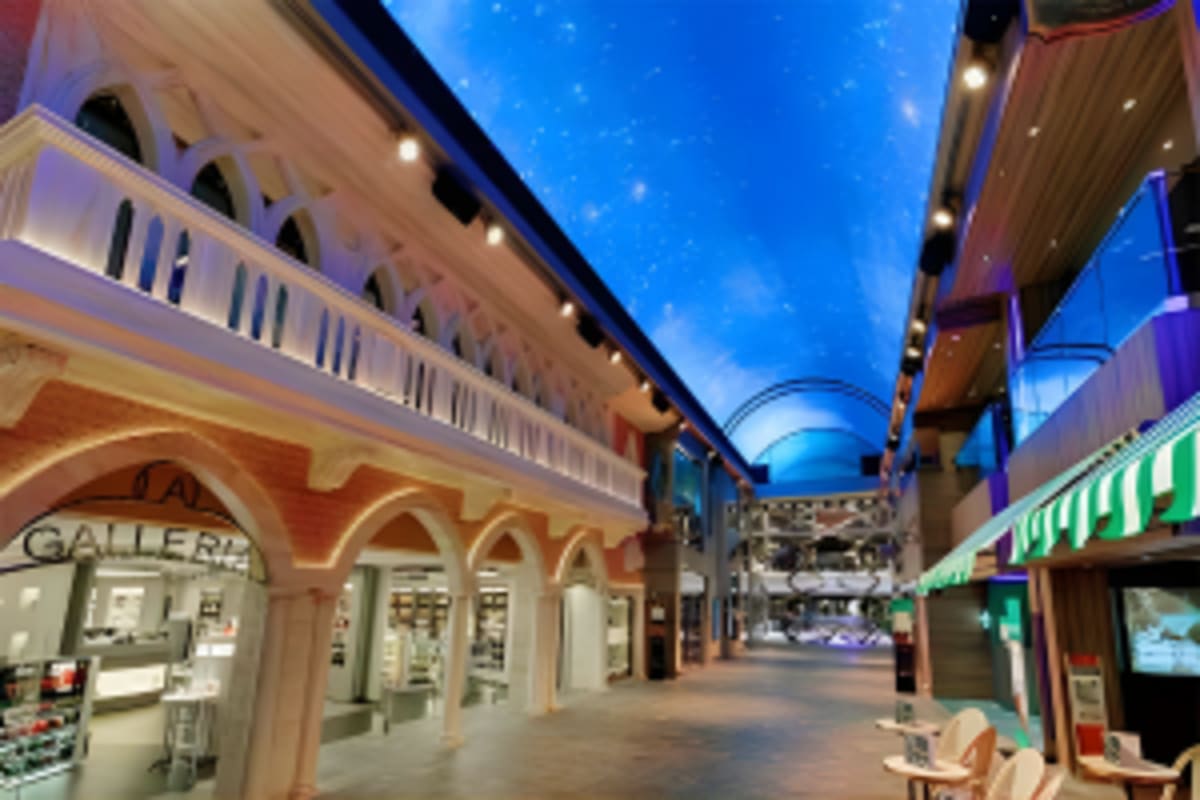 MSC Euirbia-Abu Dhabi-Sir Bani Yas-Dubai GALLERIA