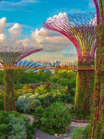 Arrival in Singapore & Experience Gardens By The Bay Arrival in Singapore & Experience Gardens By The Bay
