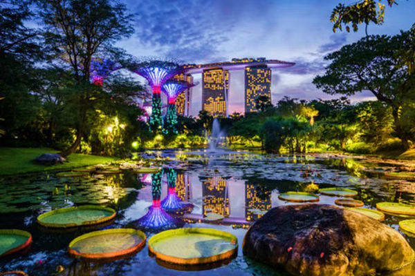 Couples Voyage Romance Fun the Open Sea Singapore