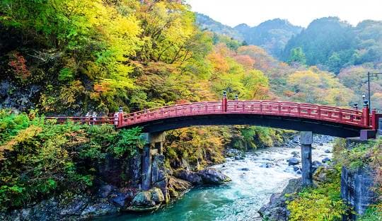 IKAHO - NIKKO - TOKYO