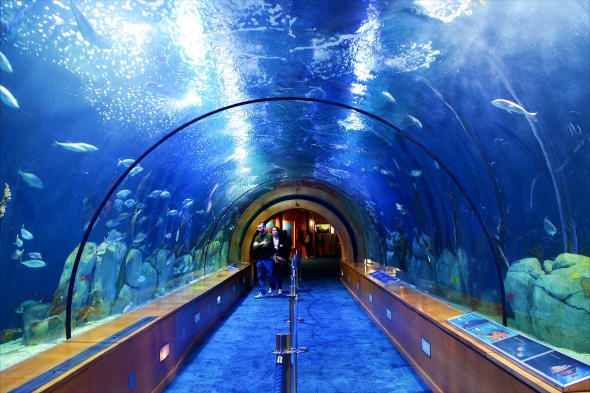 KLCC Aquaria