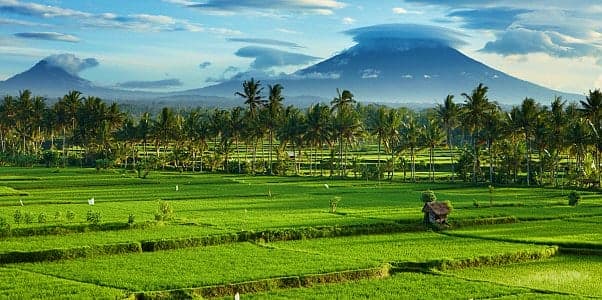 Ubud & Central Bali Excursion