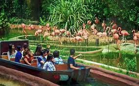 Safari World Marine Park with Lunch on Sharing Basis 