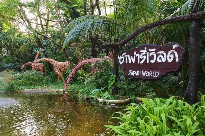 Beautiful Thailand Safari world