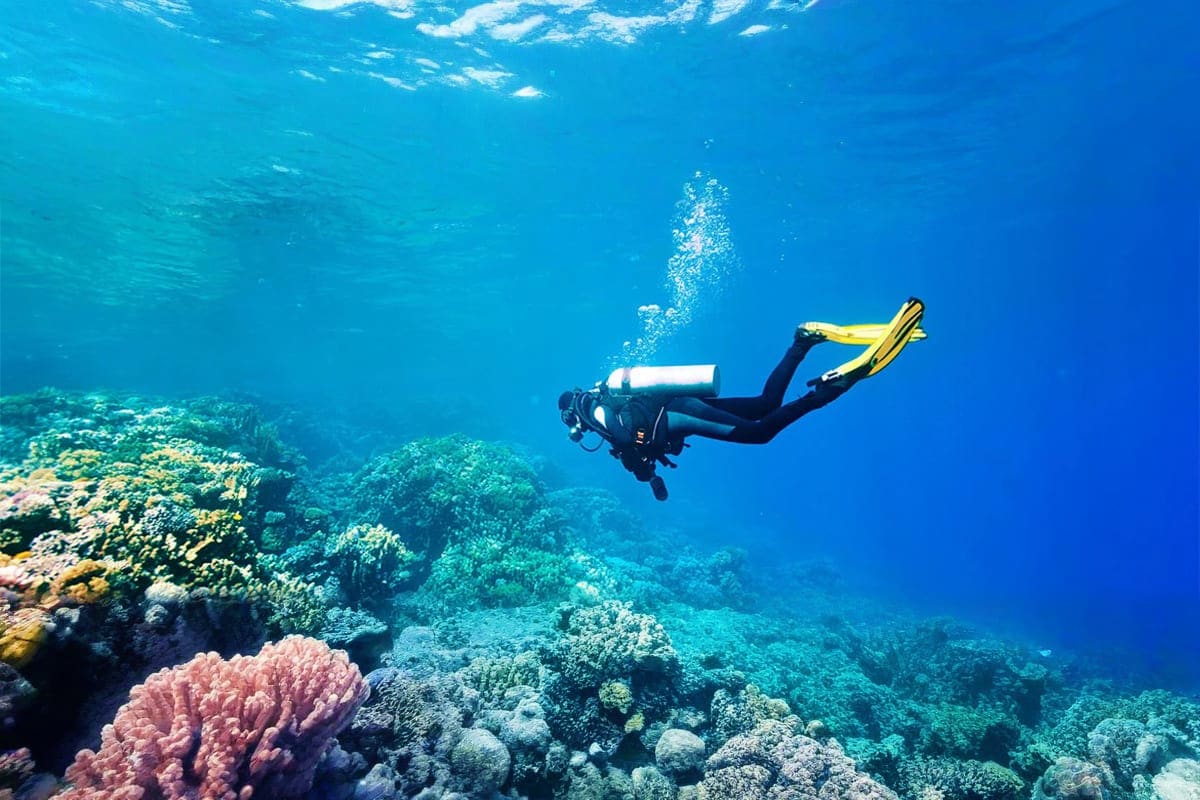 Scuba Diving Tour dubai