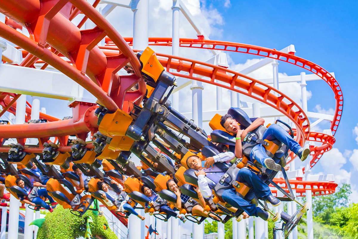 Dreamworld roller coaster