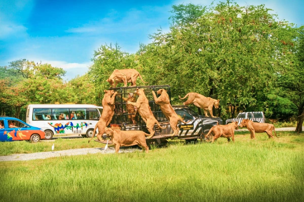 Safari World Bangkok