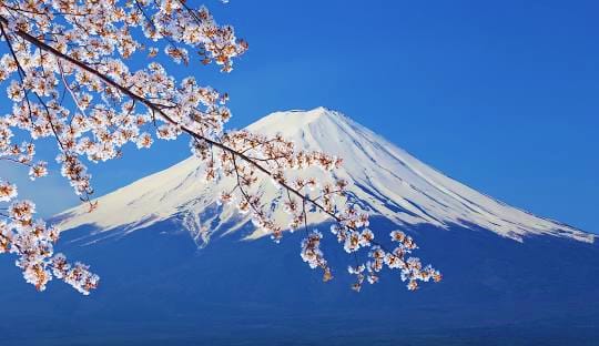 TOKYO - MOUNT FUJI - KAWAGUCHIKO