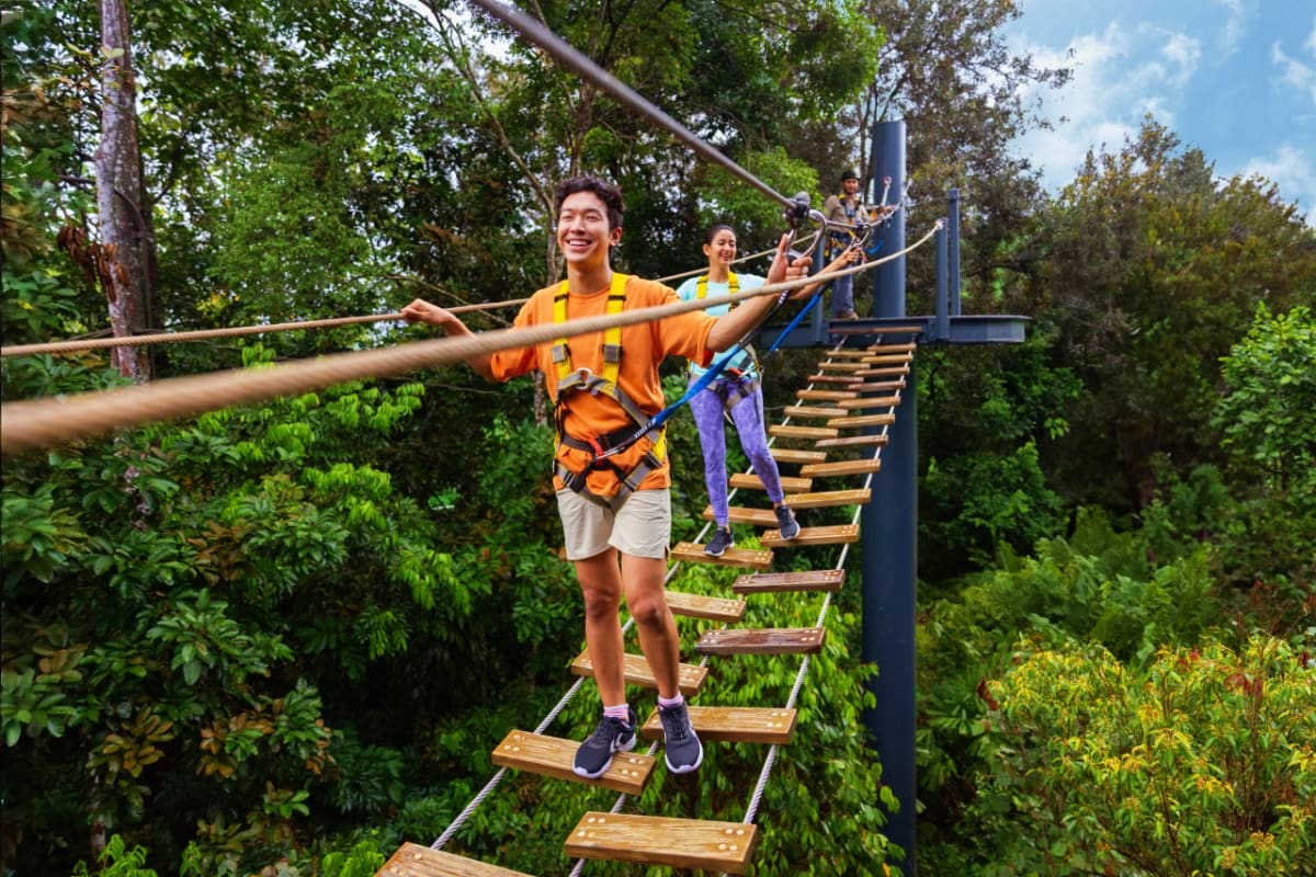 rainforest-wild-asia