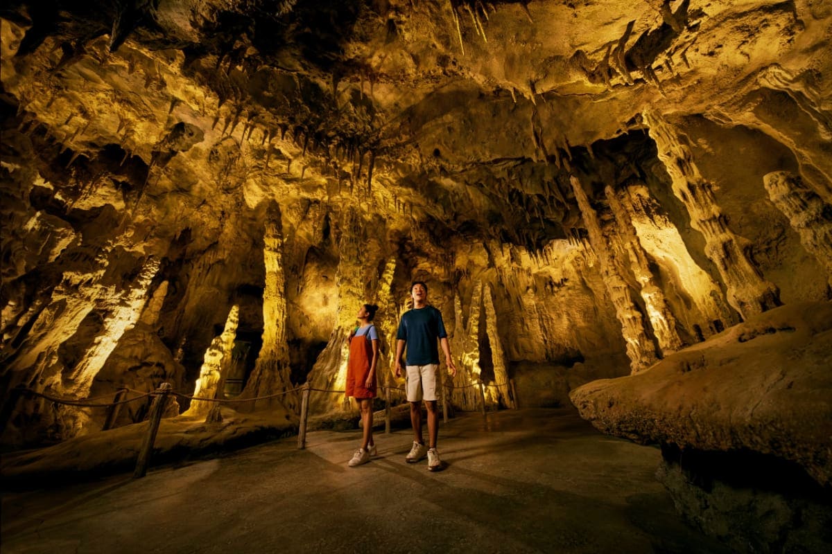 rainforest-wild-asia