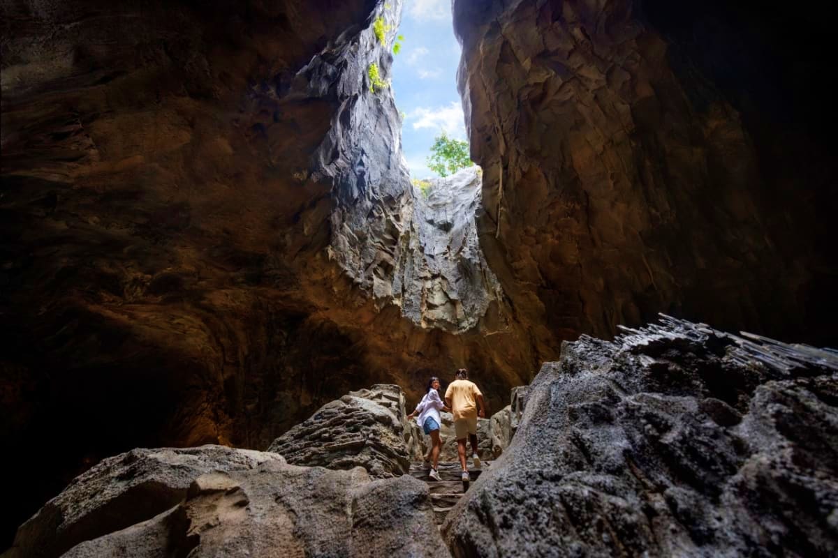 rain-forest-wild-asia
