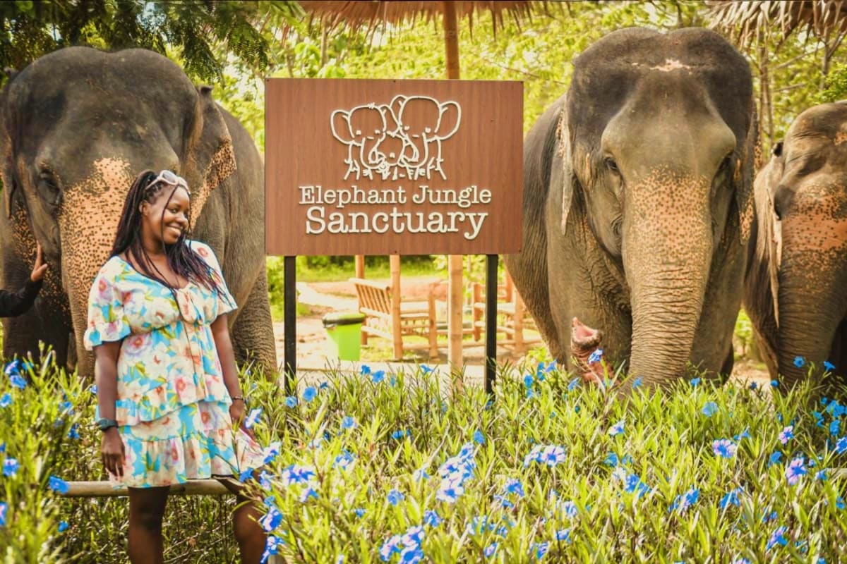 Elephant Wildlife Sanctuary Phuket