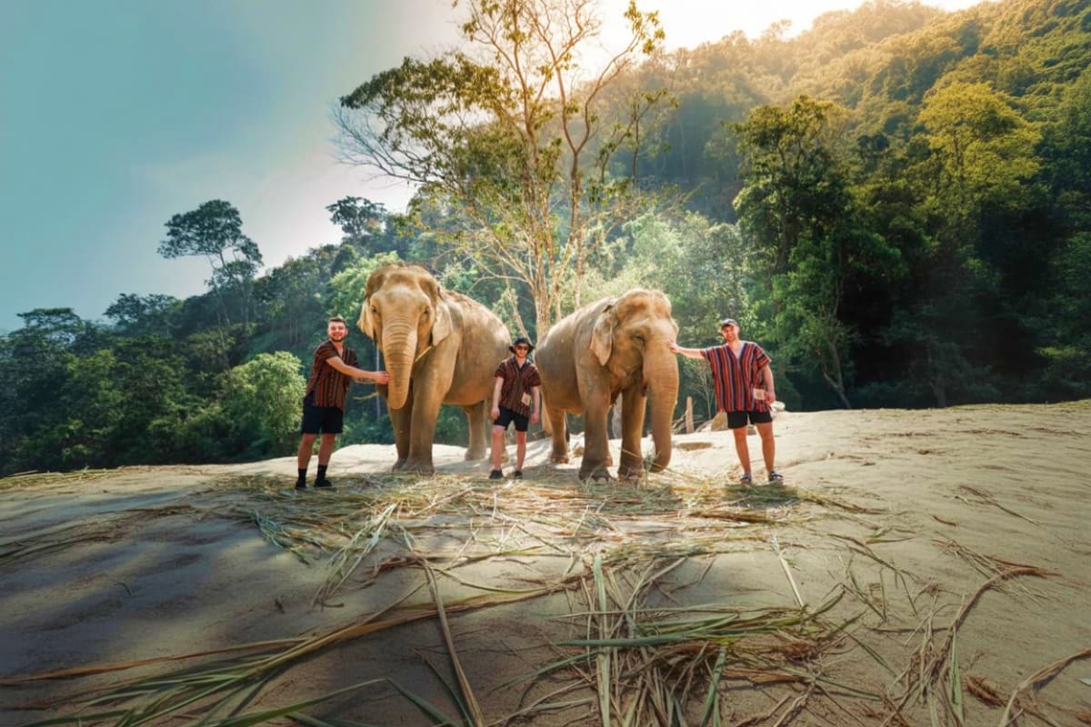 Elephant Wildlife Sanctuary Phuket