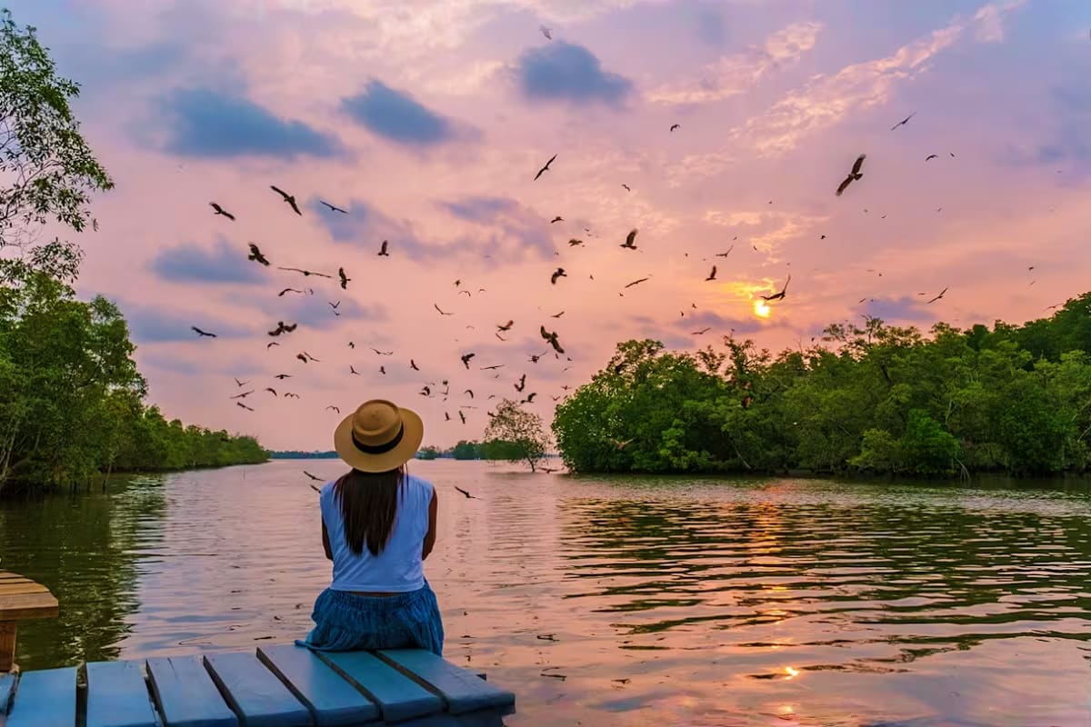 Langkawi Mangrove Tour with Shared Boat