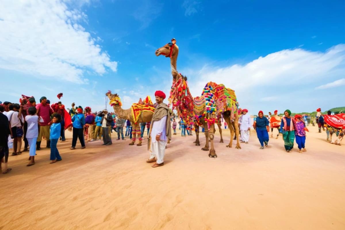 Royal Getaway for Jaipur Udaipur Camel Fair pushkar