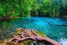 Krabi Rainforest Discovery