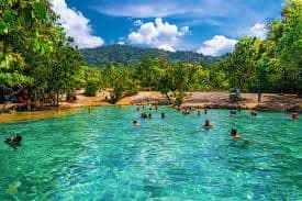 Krabi Rainforest Discovery – Nature’s Hidden Treasures