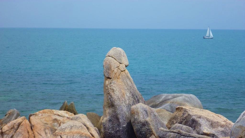 Leisure Day Leisure Day