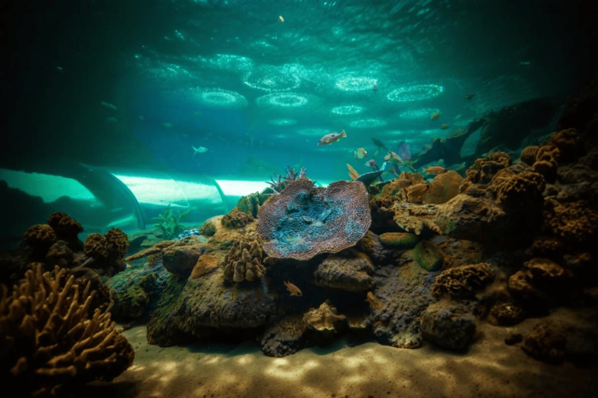 Pattaya Underwater World