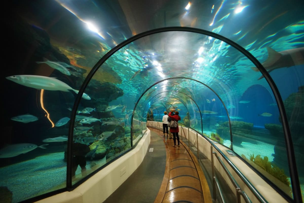 Pattaya Underwater World