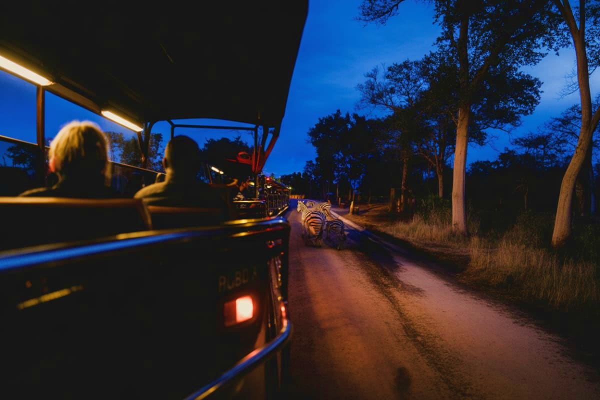 Singapore and Malaysia-Duo Night Safari