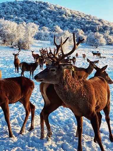 Spend the Day at Your Leisure 