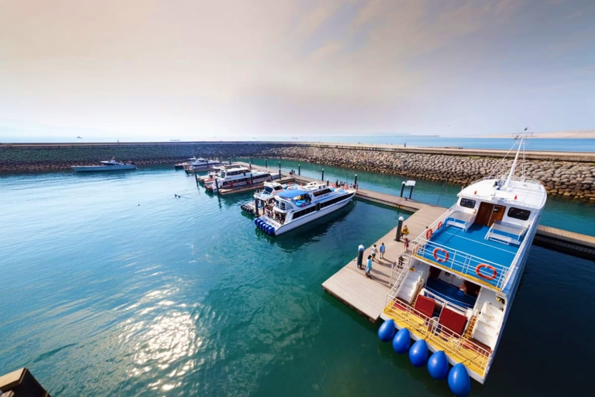 Ferry Ticket from Samui to Koh Phangan Ferry Ticket from Samui to Koh Phangan