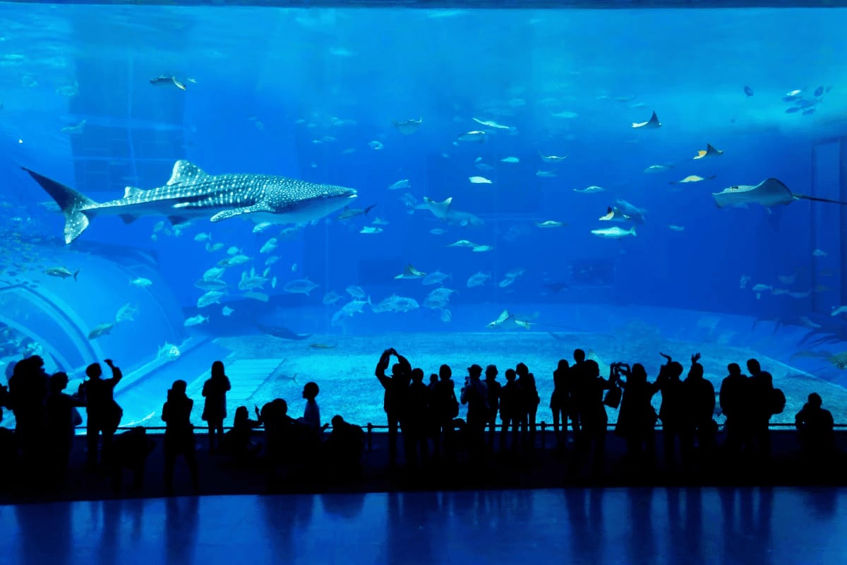 Dubai Eid Celebration Getaway duaz-images