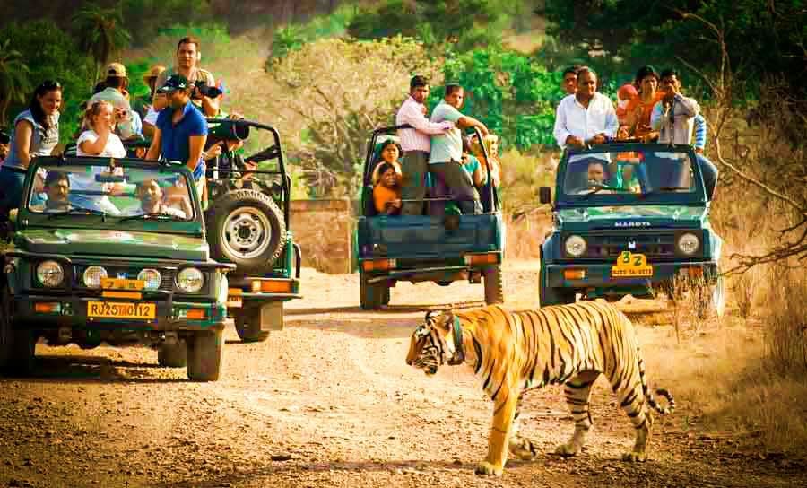 Ranthambore – Agra Ranthambore – Agra