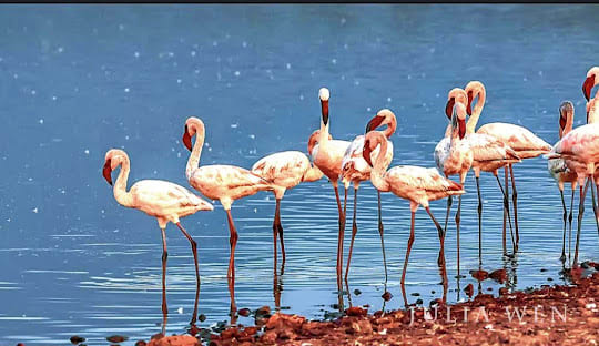 Nairobi – Aberdares 