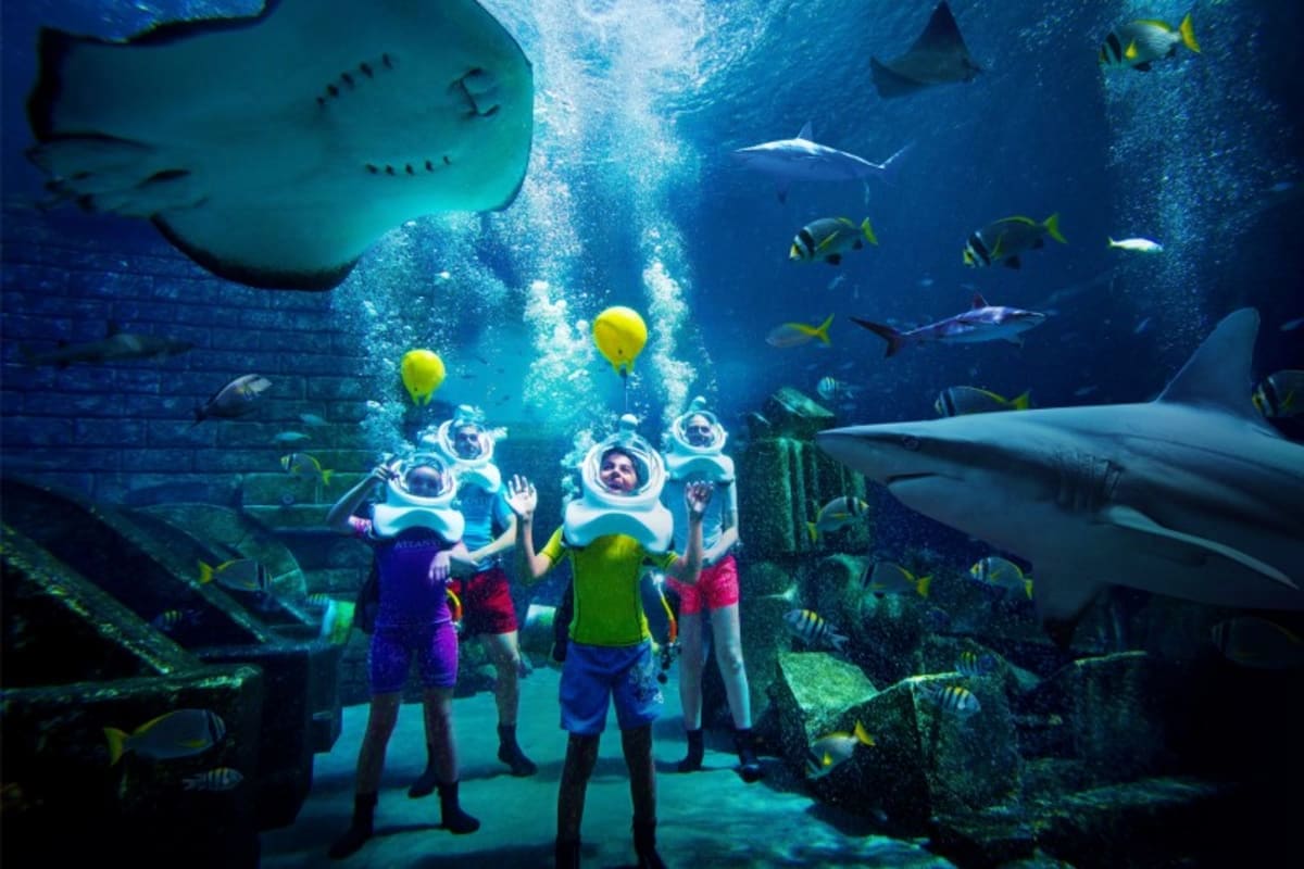 Atlantis Aquaventure Dated tickets aq5