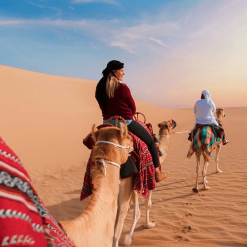 Camel Trekking in Abu Dhabi camel