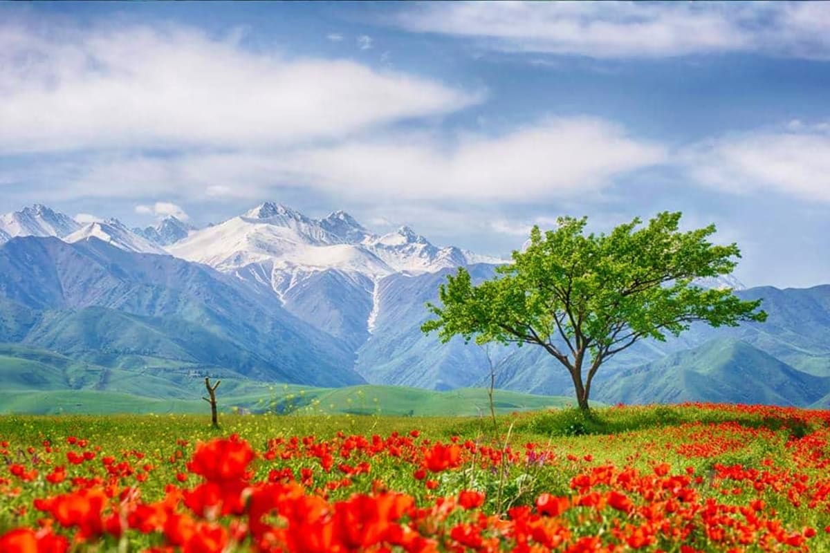 Kyrgyzstan Chunkurchak