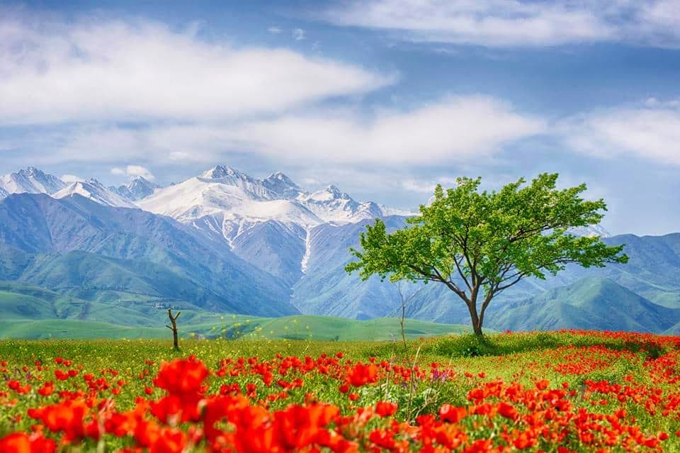 (21st Mar) – Chunkurchak Gorge Tour