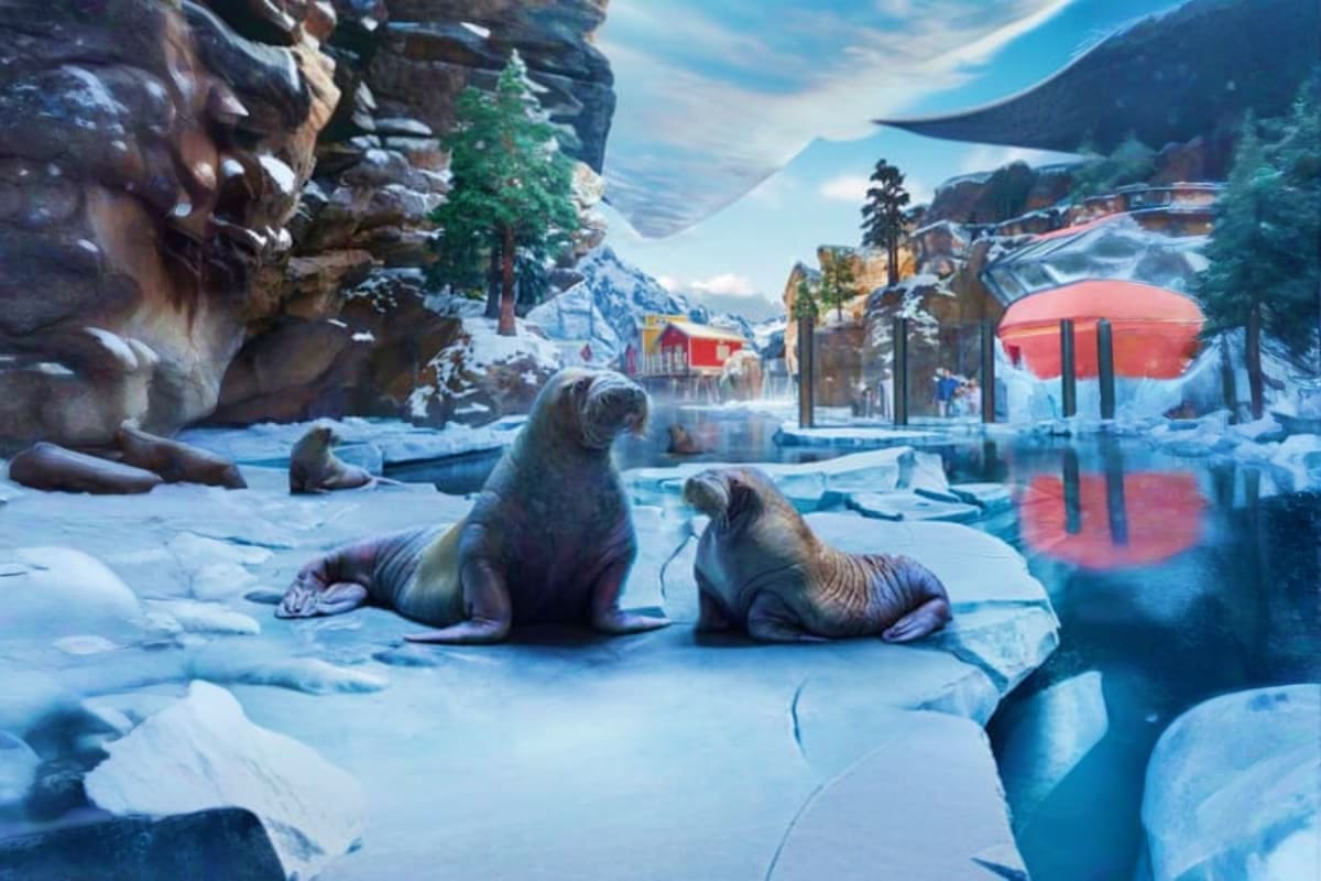 SeaWorld Abu Dhabi sea5