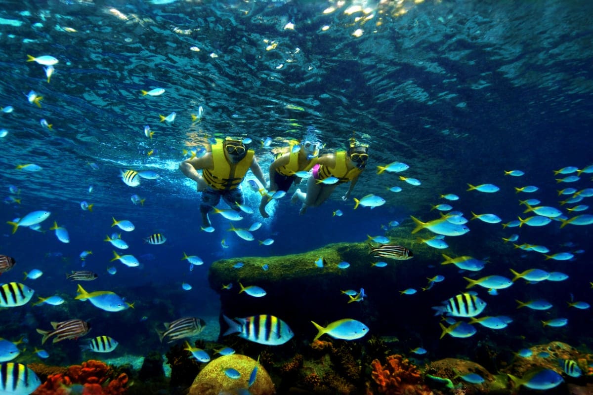 adventure_cove_waterpark_01